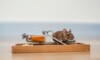 Piège à souris dans un environnement domestique.